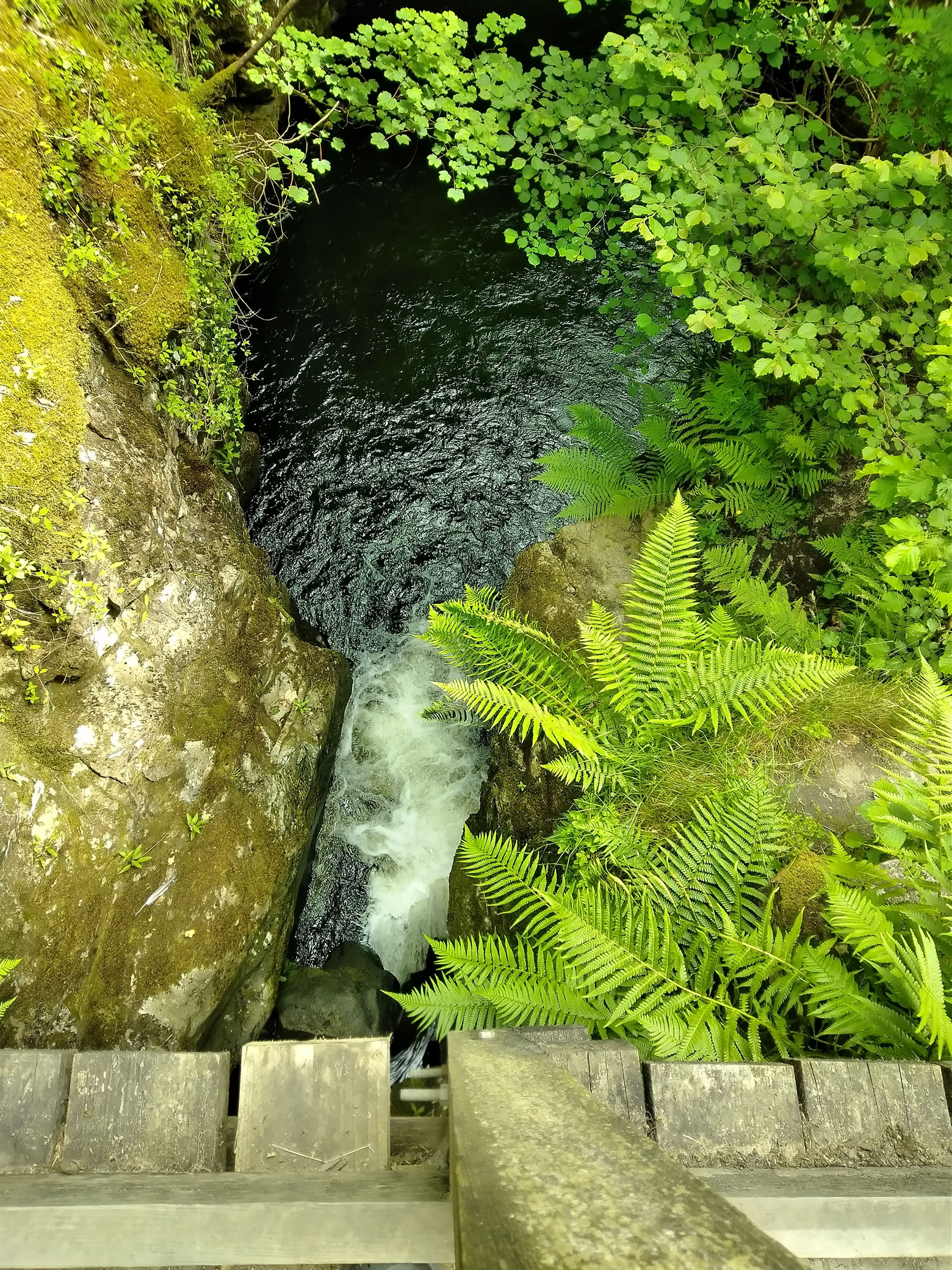 Aira Force - Image 2, Jun 24, 2024